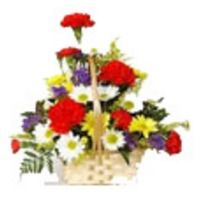 White And Yellow Gerbera And Red Carnation In Basket