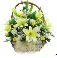 White Lilly In Handle Basket