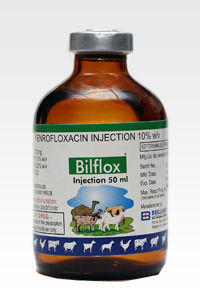 Bilflox Enrofloxacin Injection