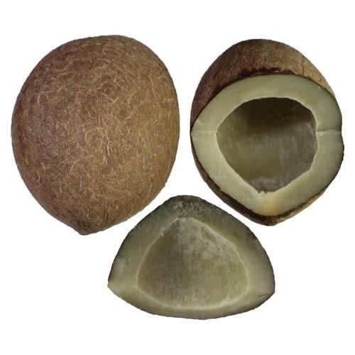Dry Coconut (Copra)