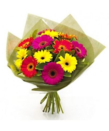 Hand-Selected Gerberas Flowers