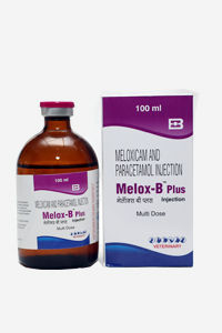 Melox - B Plus Meloxcan and Paracetamol Injection