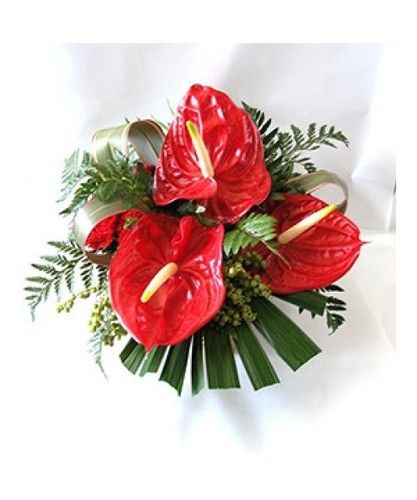 Red Delight Anthuriums