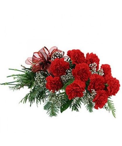 Sensational Red Carnations Flowers