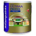 Asian Paints Apex Ultima Protek