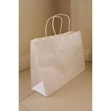 Paper Carry Bags