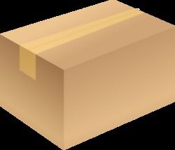 Plain Carton Box