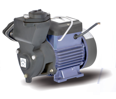 Regenerative Self Priming Pump - High Efficiency Performance | Long Functional Life, Uninterrupted Operation, Reliable Design