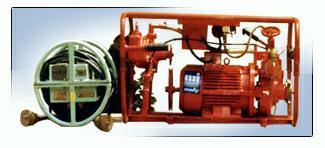 Non Submersible Self Priming Portable Salvage Pumps