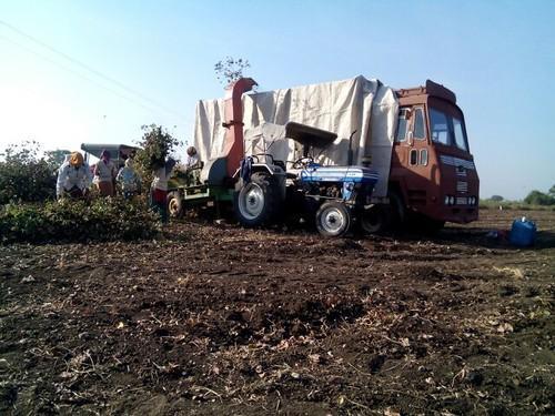 Biomass Cutter Shredder