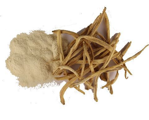 Safed Musli(Chlorophytum Borivilianum) Powder