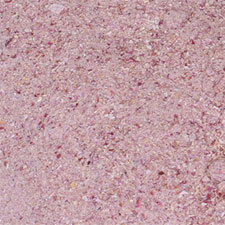  Dehydrated Red Onion Granules