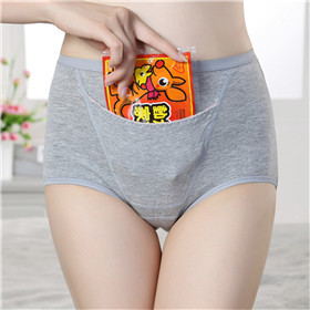 Special Design Panties With Pocket For Tummy Warm Women at Best