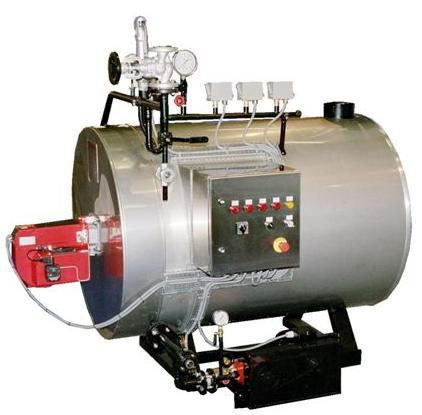 Clean Steam Generator Horizontal