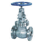 Globe / Gate Valve