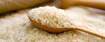 Organic Rice