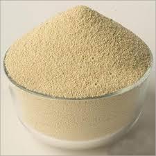 Cellulose Enzyme
