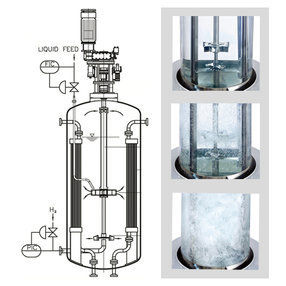 Hydrogenation Plant - High-Grade Materials, Advanced Technology | Efficient Oil Hydrogenation, Quick Process Completion