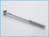 Malleolar Screw