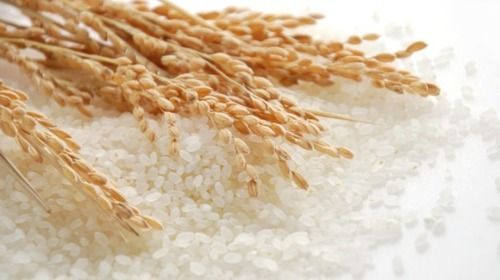  उच्च गुणवत्ता वाला चावल