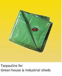 Tarpaulins For Green House & Industrial Sheds