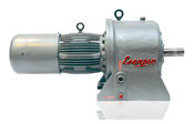 Geared Motors