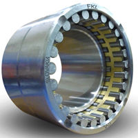 Multirow Large Bore Bearings