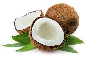 Indian Fresh Coconut