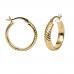 Gold Hoop Earrings