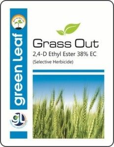 2, 4-D Ethyl Ester 38% EC Selective Herbicides