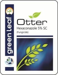 Hexaconozole 5% SC Fungicide