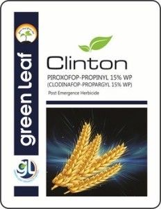 Iroxofop Propinyl (Clodinafop Propargyl) 15% WP Post-Emergence Herbicides