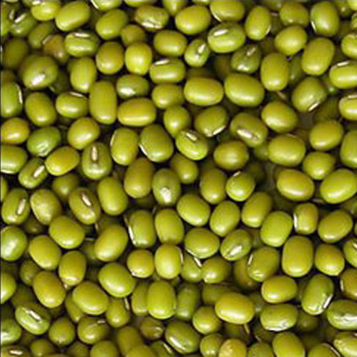 Moong Beans