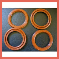 Silicon Seals