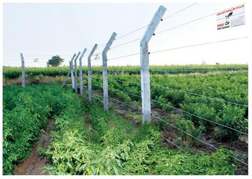 Solar Fencing