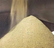 Bone Meal Powder