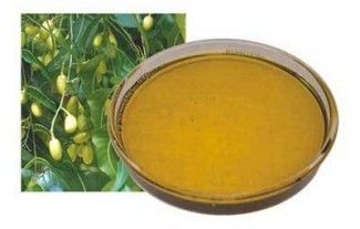 Neem Oil