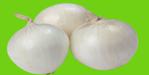 Milky White Onion