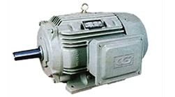 TEFC Motors - High-Quality Material, Various Sizes & Specifications | Reliable and Durable Performance