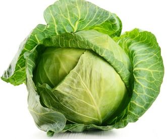 Semi-Automatic Fresh Cabbage