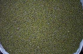 Green Gram(Moong Beans)