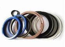 Hydraulic and pneumatic seal kits