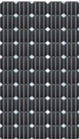 Monocrystalline Solar Module