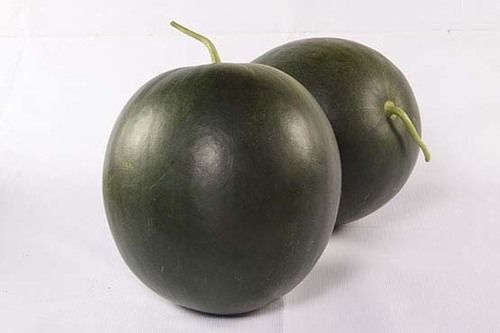 Watermelon - Round Shape, Average Weight 7-8 Kgs, Intense Green Skin with Brilliant Red Flesh, 11.5-12.5 Degree Brix