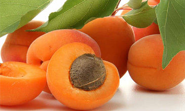 Frozen Apricot