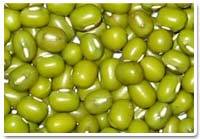 Mung Bean