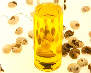 Marula Oil