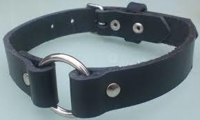 Leather Safety Belt