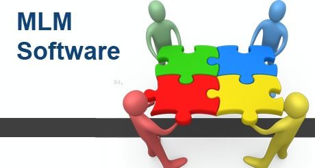 MLM Software Development Services