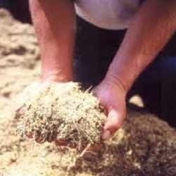 Mineral Mixture Cattle Feed